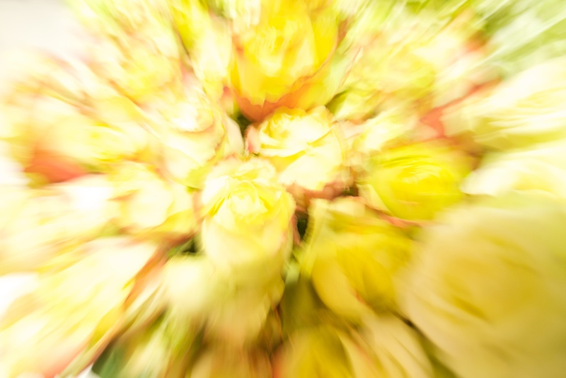 Illustration for article titled Zoom Shooting Challenge Gallery 3